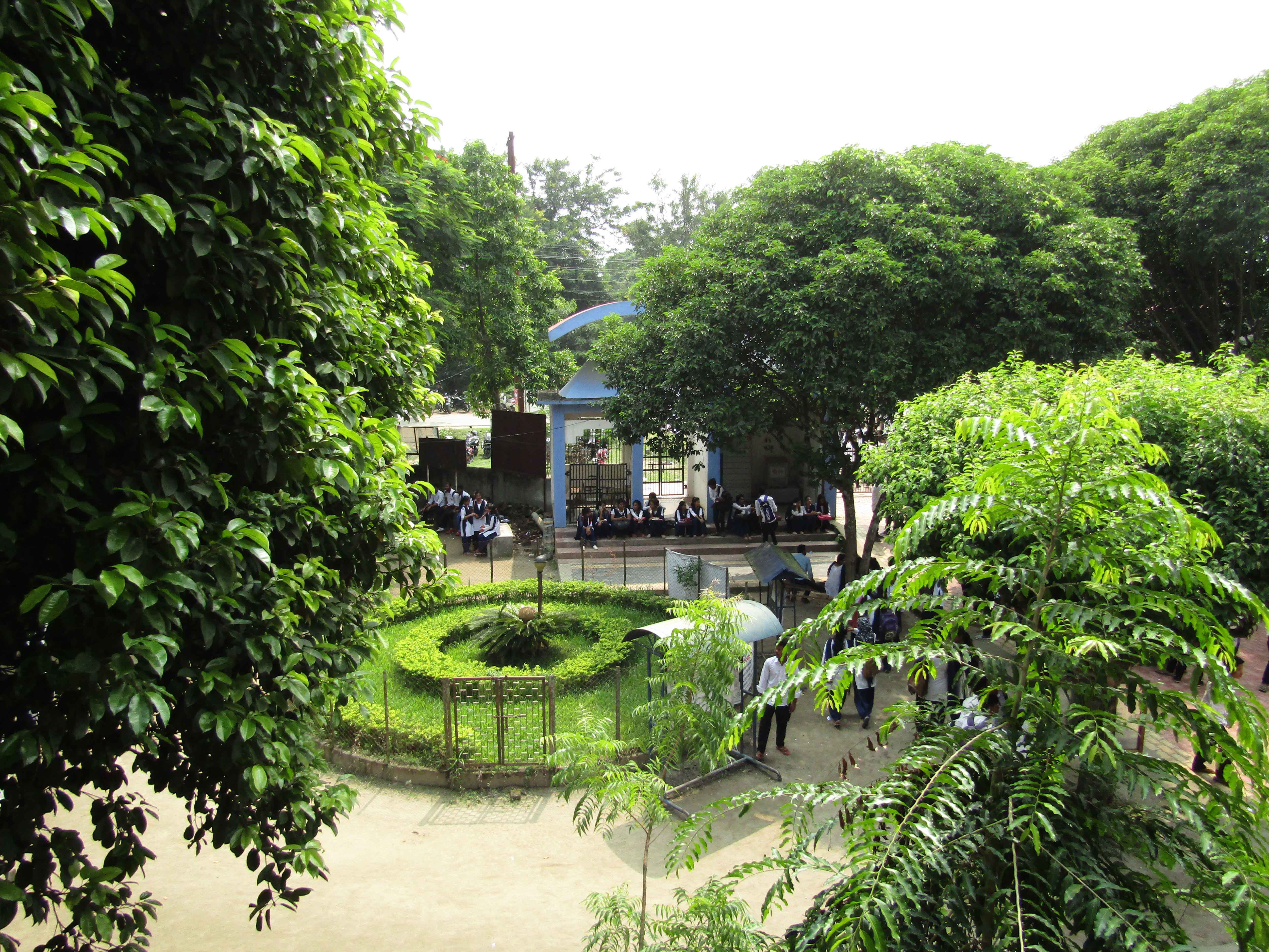 COLLEGE GARDEN